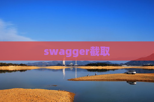 swagger截取